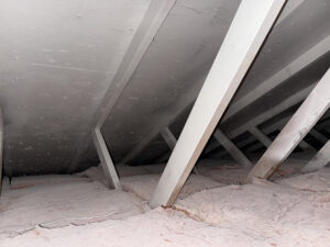mold removed from attic and remediated. mold resistant paint applications
